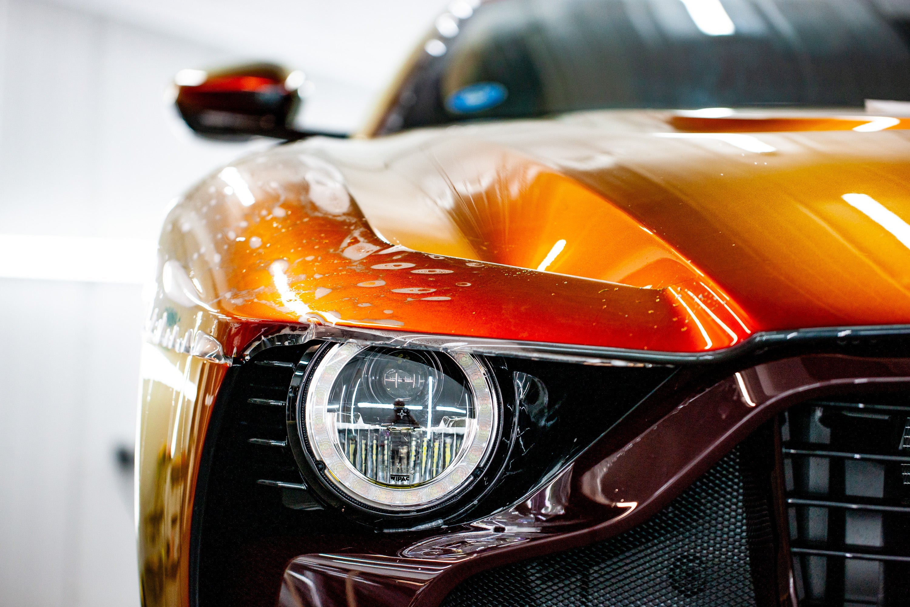 what is paint protection film